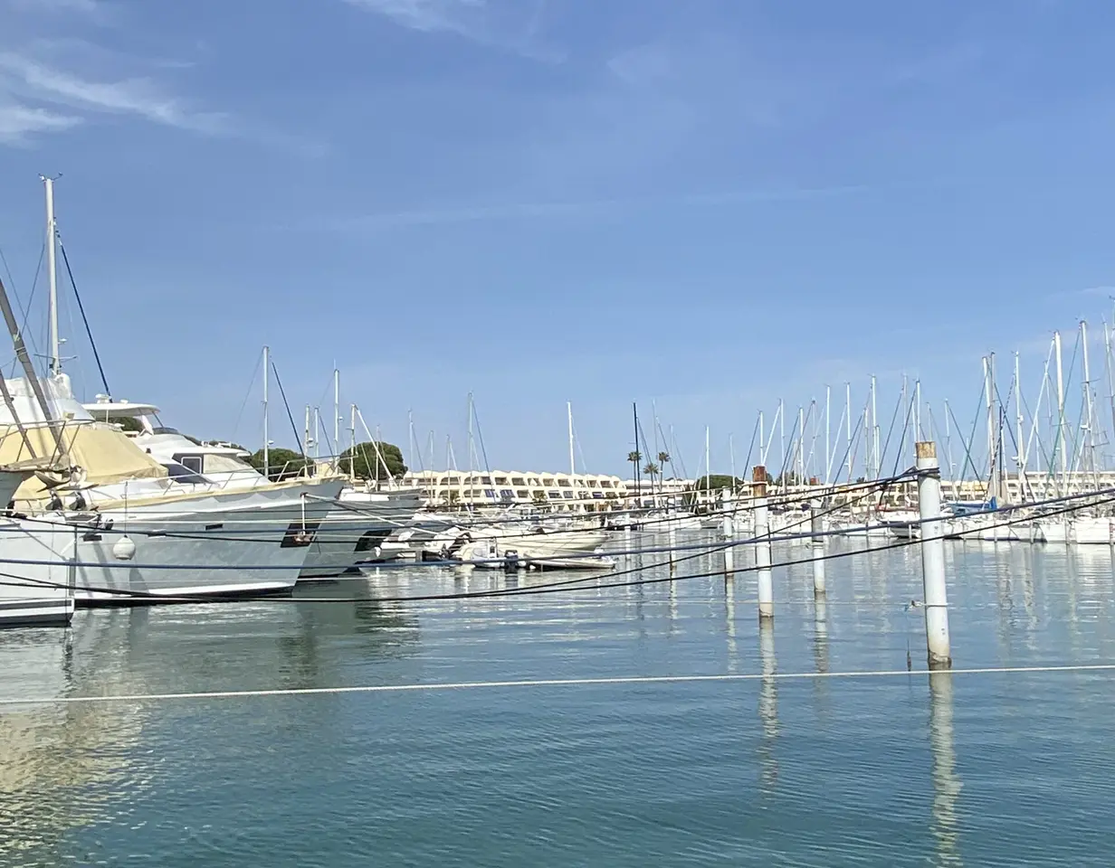 Place-au-port_IMG