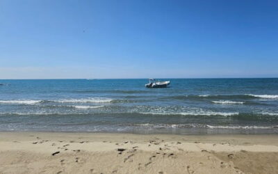 Circuit 4h en bateau avec permis à l’Espiguette — Port Camargue