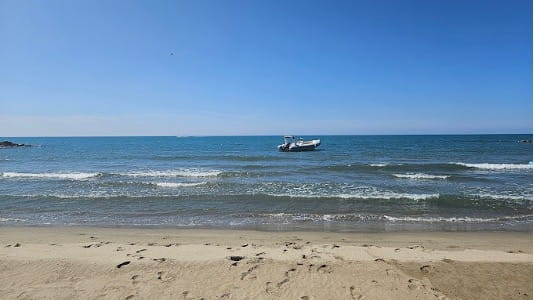 espiguette_bateau_header (1)