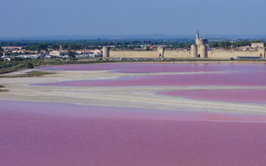 Après les Salins du Midi, prenez le large vers la Méditerranée
