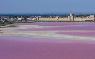 Après les Salins du Midi, prenez le large vers la Méditerranée