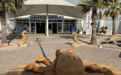 Après le Seaquarium, prolongez l’aventure en mer au Grau du Roi