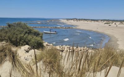 Rejoindre la Paillote de l&rsquo;Espiguette en bateau : une escale incontournable depuis Port-Camargue